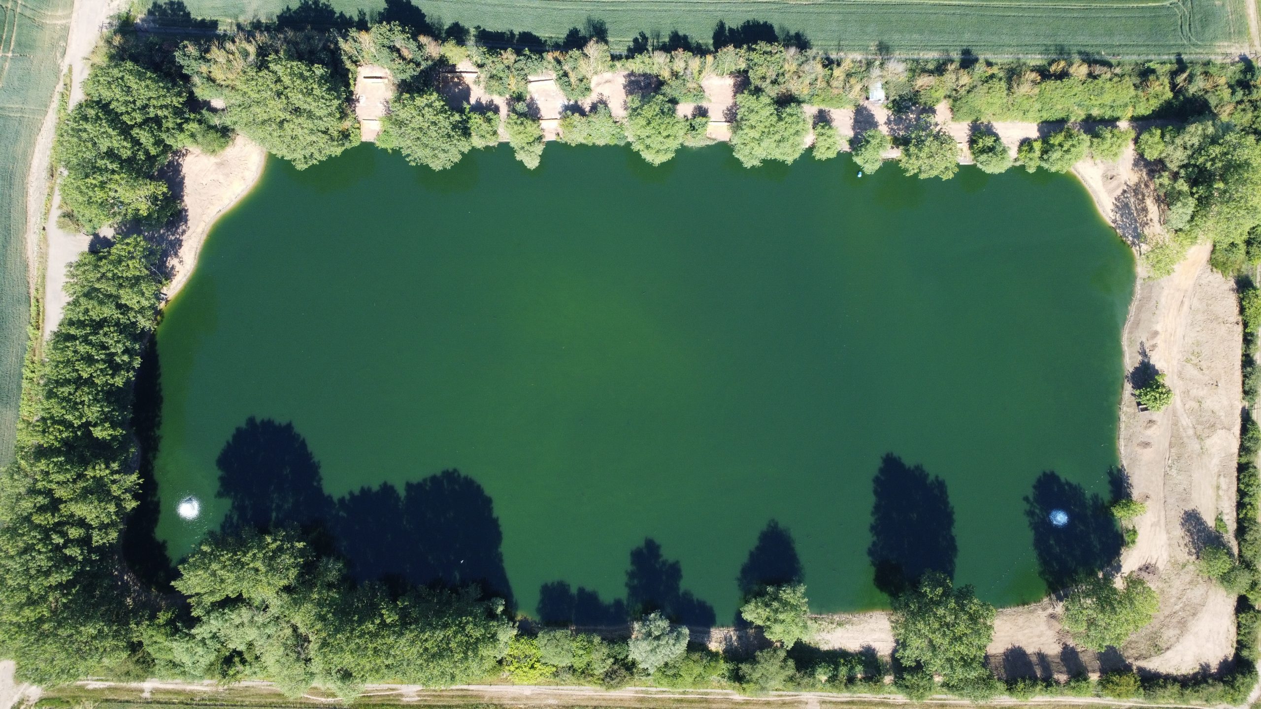 Scarlett's summer levels — Farm Lakes