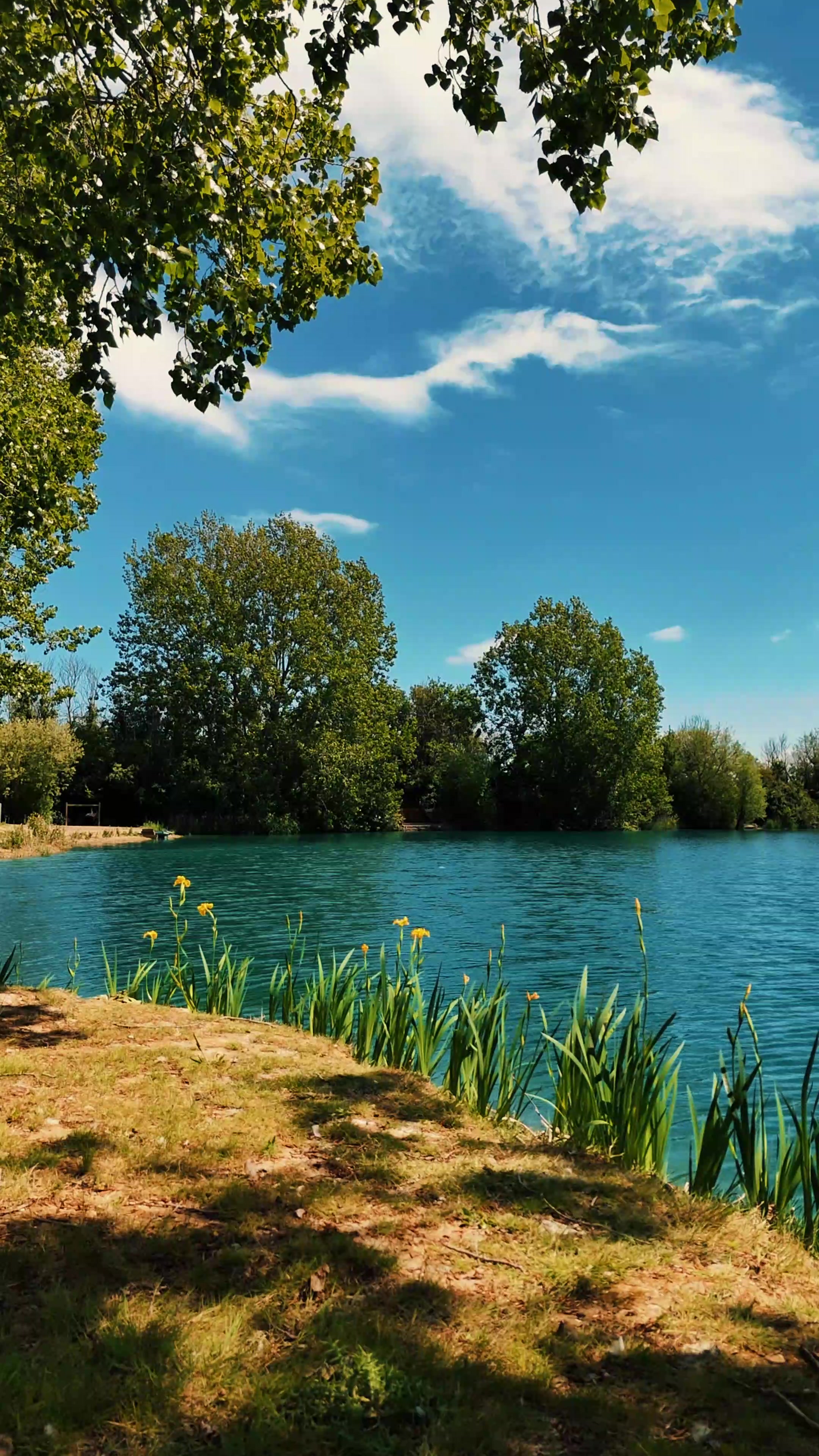 Varied, clear and thought-provoking — Farm Lakes