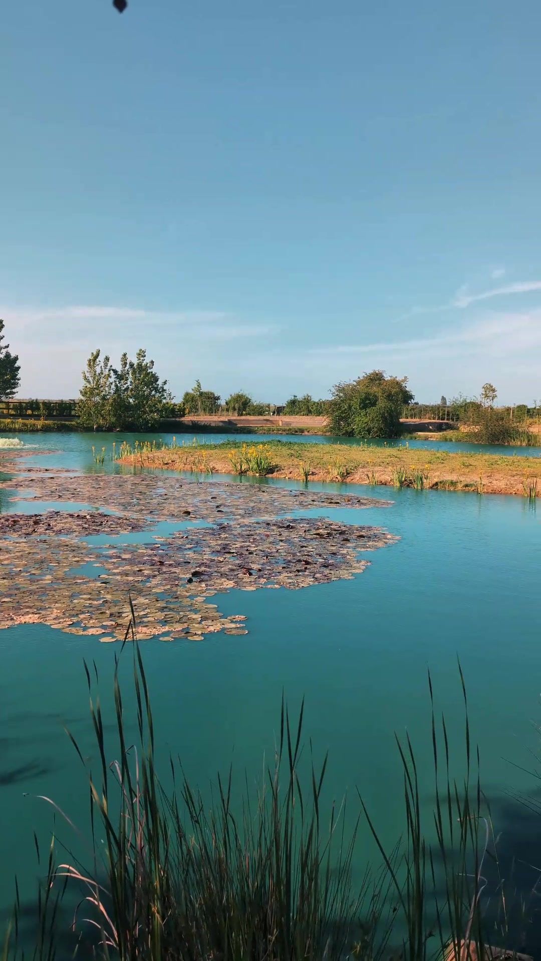 Specimen water image Traditional fishing with real character — Farm Lakes