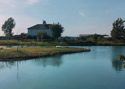 Quiet evening view across the Specimen Pond